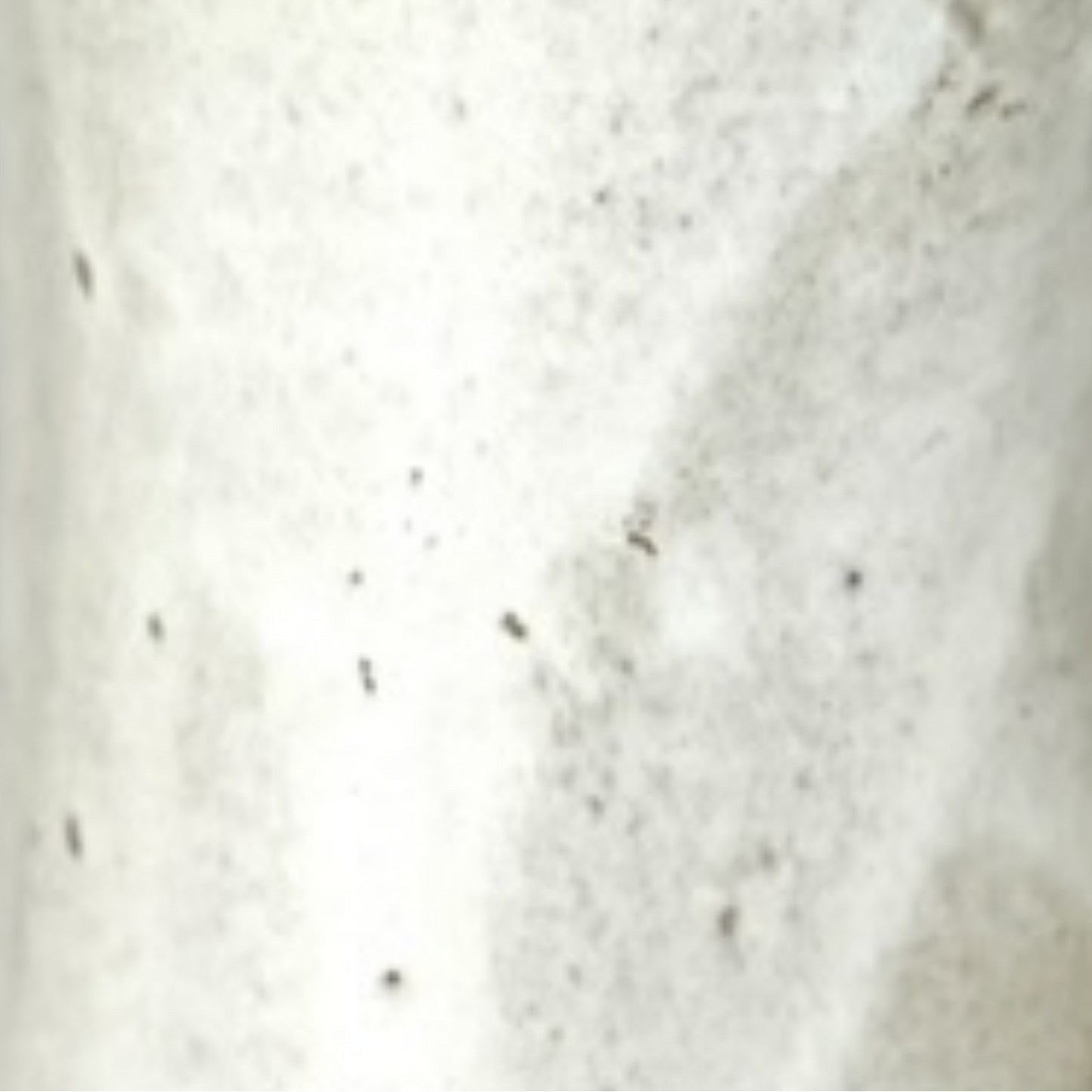 Large soup or cereal bowl ceramic handmade pottery bowl for salad or chili