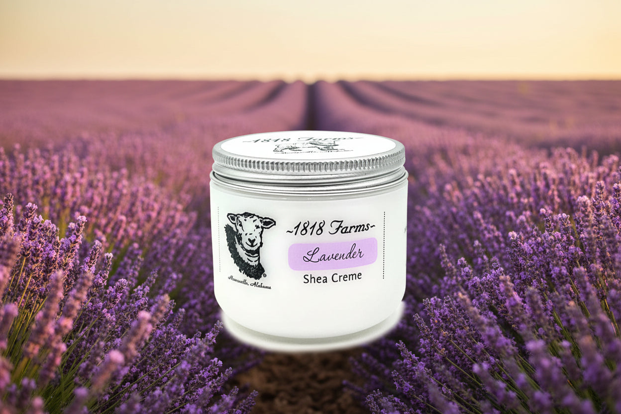 1818 Farms Whipped Shea Creme - 4 fl oz- Hand & Body Moisturizer