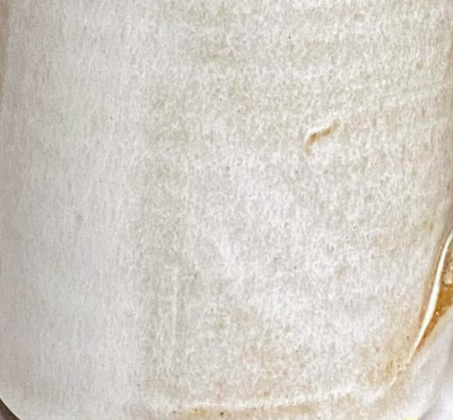 oatmeal sample 